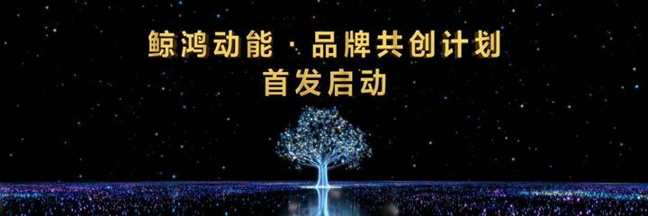 鯨鴻動能·品牌共創計劃發布 多項權益助力品牌激發無限潛能